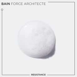Bain Force Architecte Résistance recharge 500 ml