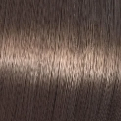Coloration gloss Shinefinity 04/07 bitter chocolate