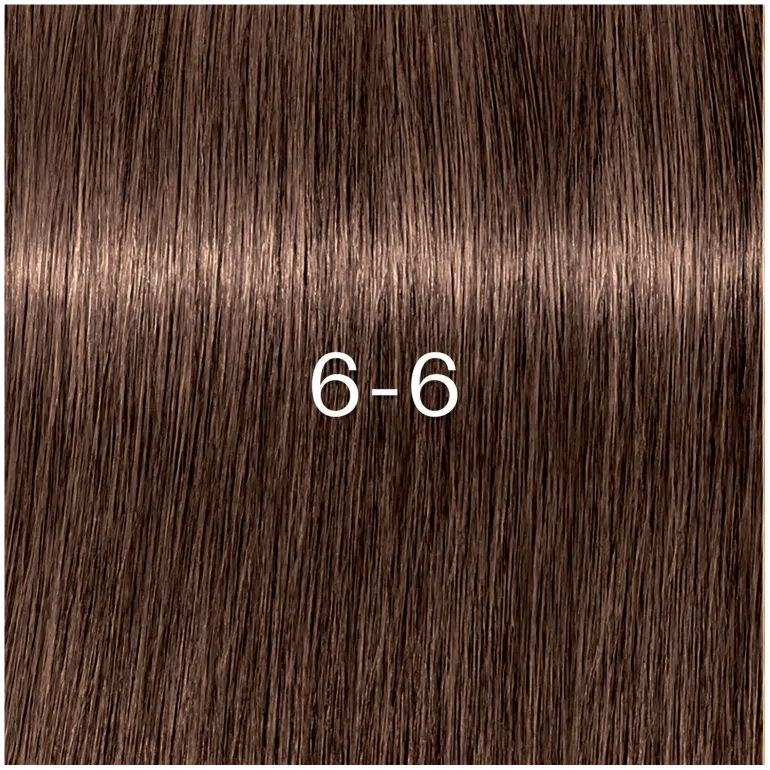 Coloration Igora Zero Amm 6-6 blond foncé chocolat