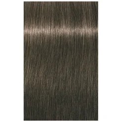 Coloration permanente Igora Royal 6-1 blond foncé cendré