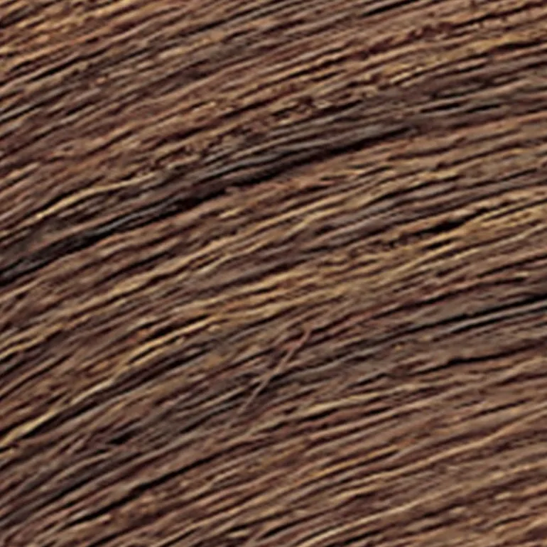 Coloration ton sur ton Shades EQ Gloss 04WG sun tea