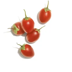 Crème de lissage anti frisottis Invigo Nutri-Enrich