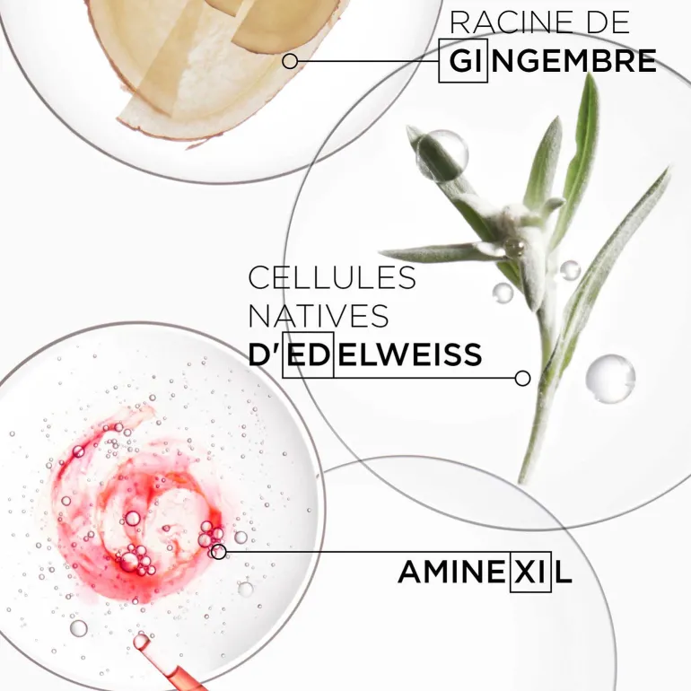 Défense Thermique Genesis
