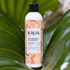 Lait crémeux à la sapote