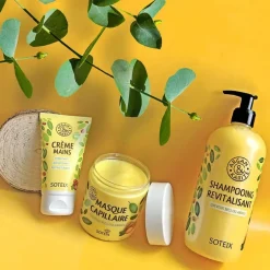 Masque capillaire pour cheveux secs ou abîmés Argan & Karité 250ml