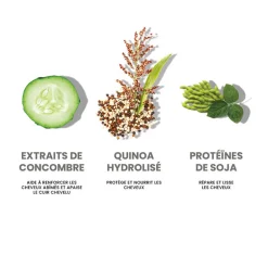 Rituel hydratant cheveux normaux à secs