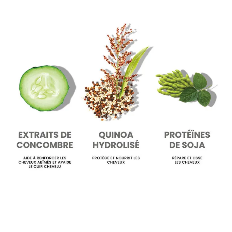 Rituel hydratant cheveux normaux à secs