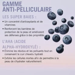 Shampooing anti-pelliculaire BC Scalp