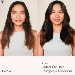 Shampooing Perfect Hair Day