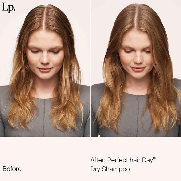 Shampooing sec Perfect Hair Day