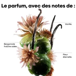 Sérum réparateur à rincer Absolut Repair Molecular